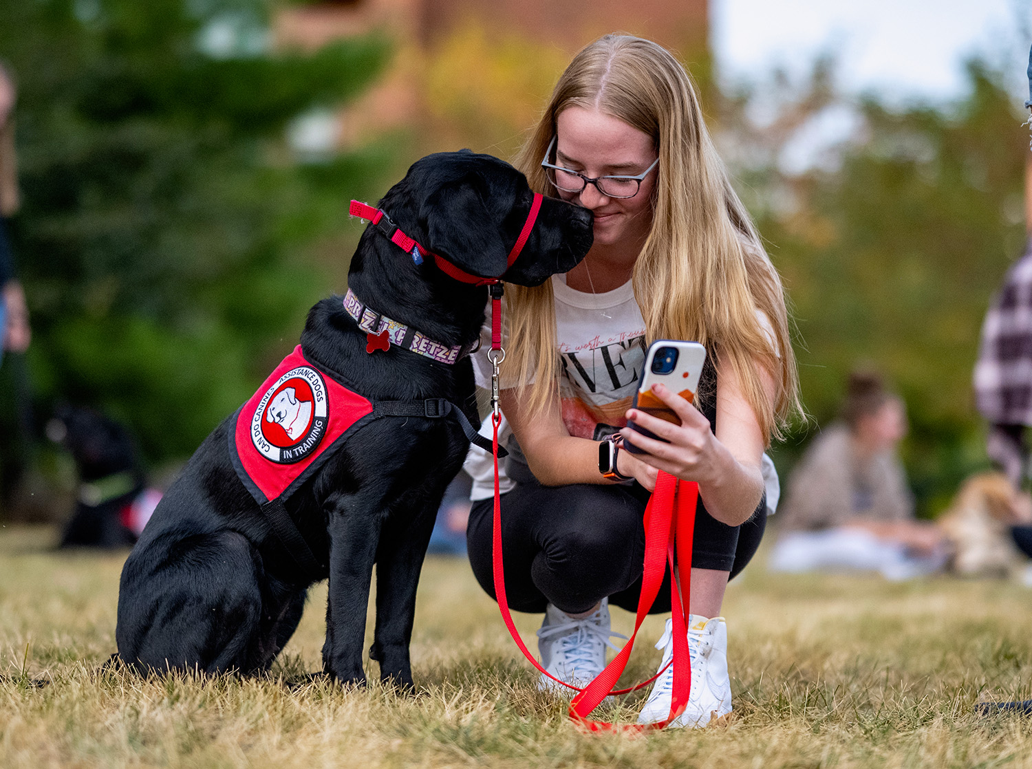 A female student prepares to take a picture with a black lab for a companion animal course