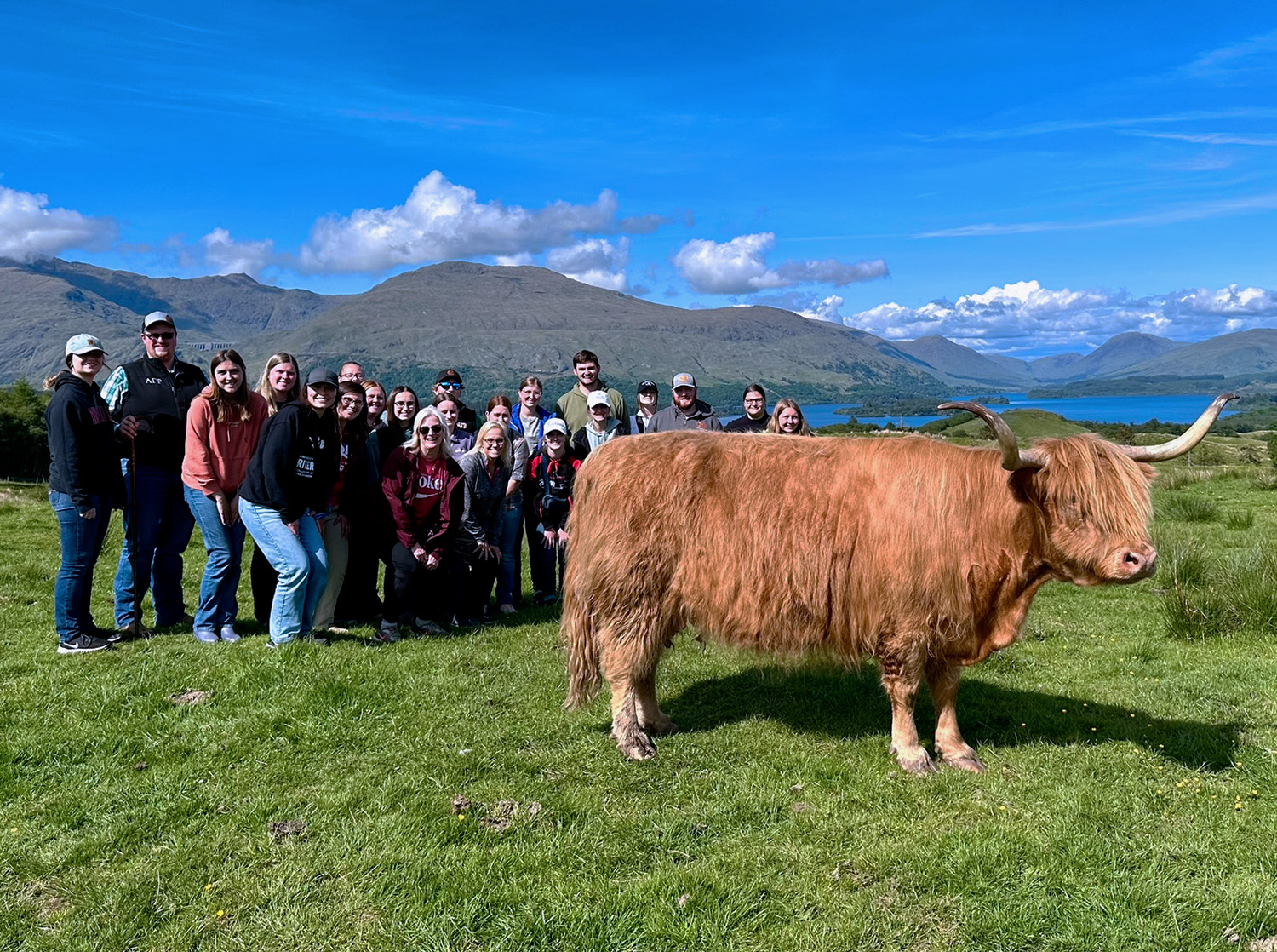 A group of people stand behind a long horned cow on a study abroad trip