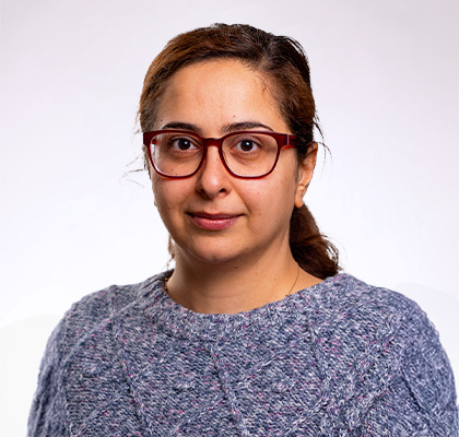 Headshot of Bahareh Hassanpour, a woman with glasses and long brown hair wearing a gray sweater