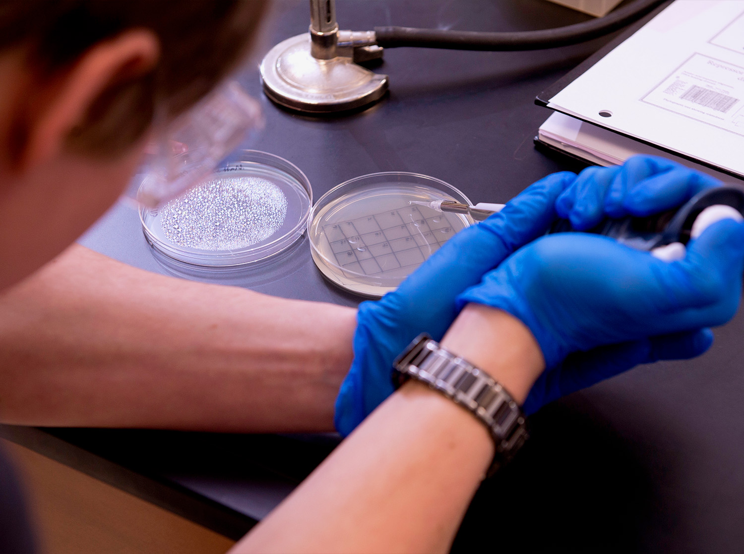 A student uses a pipette to gently place a liquid into a petri dish