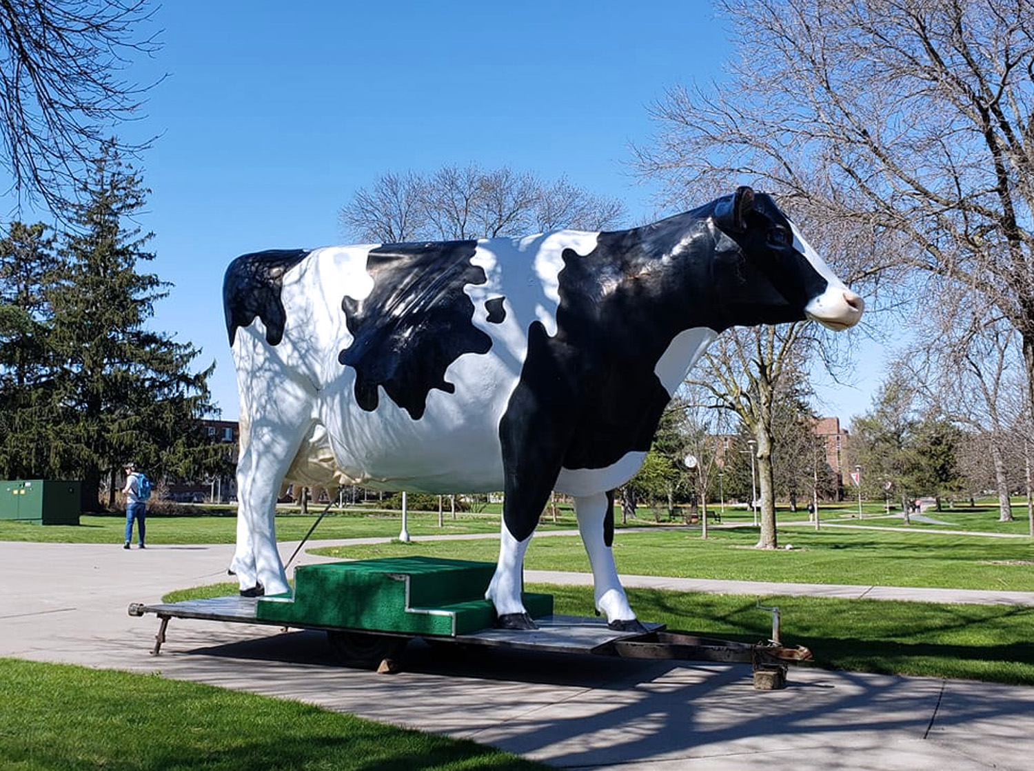 Colleen the Dream on the campus mall