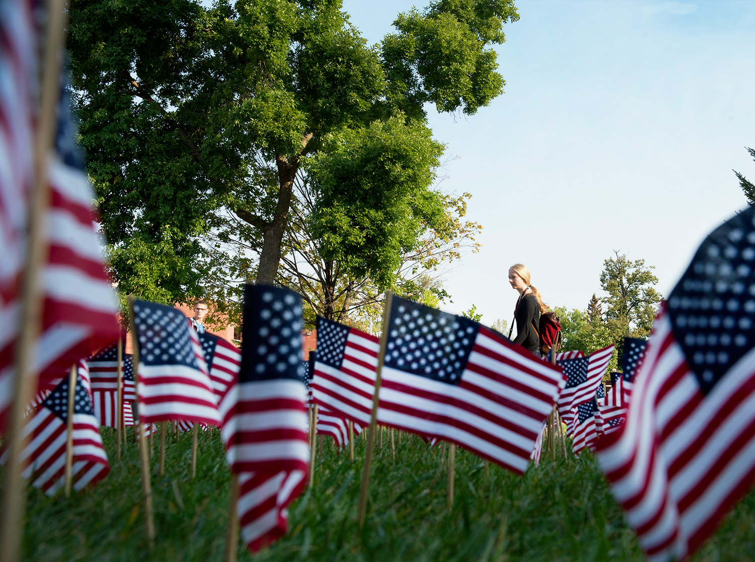 A large group of small flags stands in the ground outside of the University Center in honor of Veterans Day