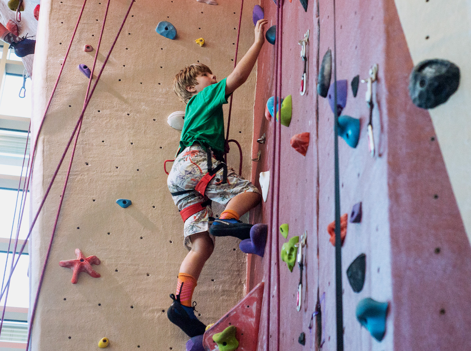 A child climbs up the rock wall in the Falcon Center