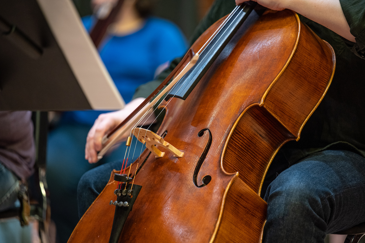 a close up photo of a cello