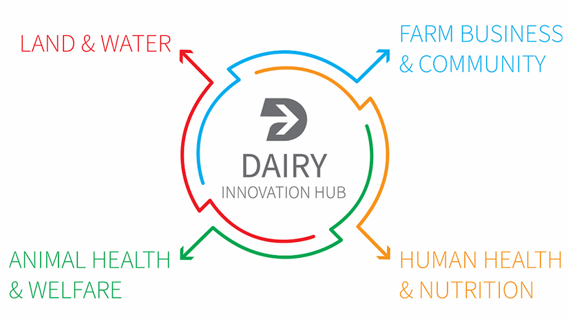 the dairy innovation hub logo