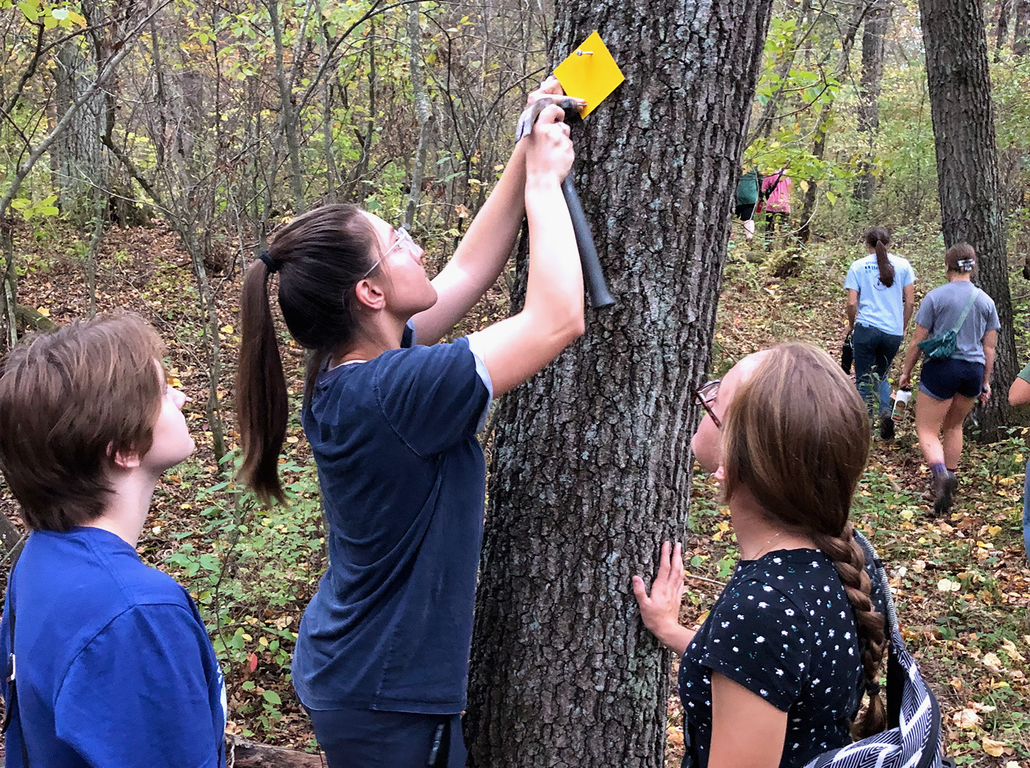 A female student hammers a nail into a tree to place a marking