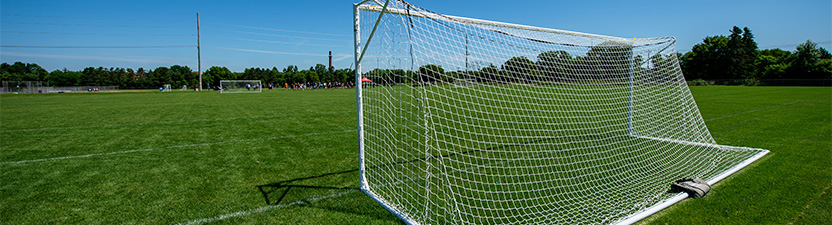 Wide view of the Intramural Complex Fields