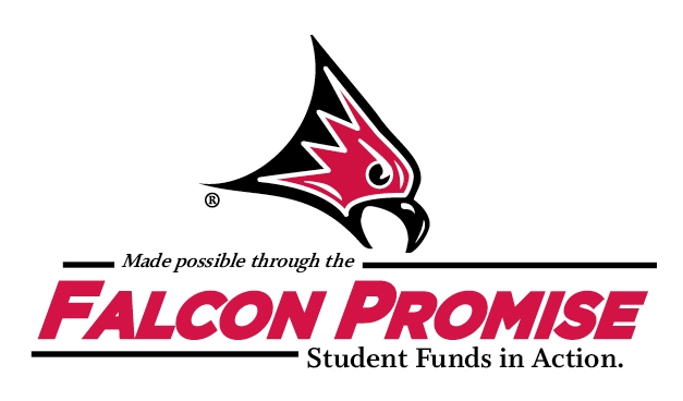 Falcon Promise Funds Logo