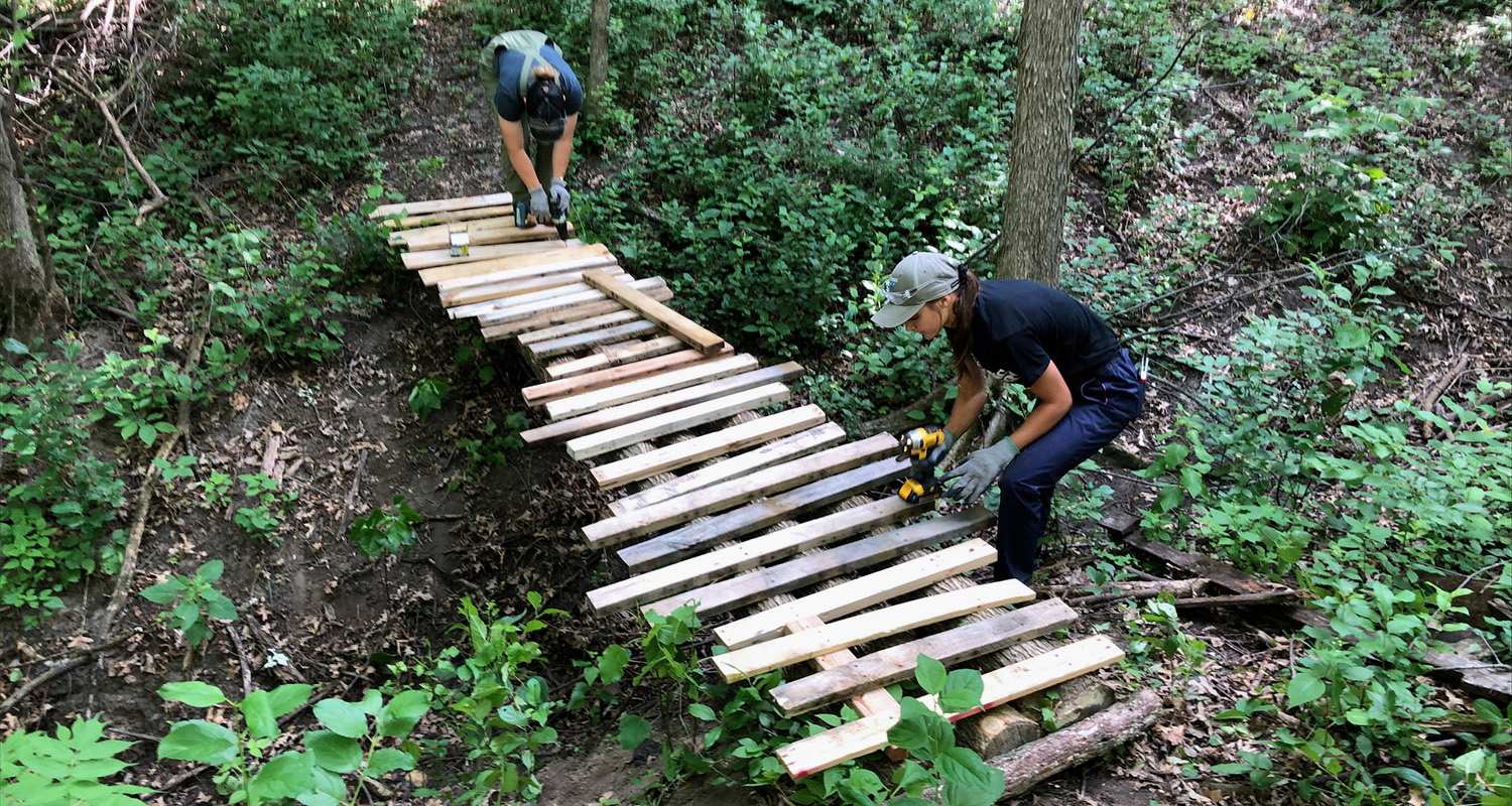 Two students work in the campus forest to construct a simple walking bridge over a small creek