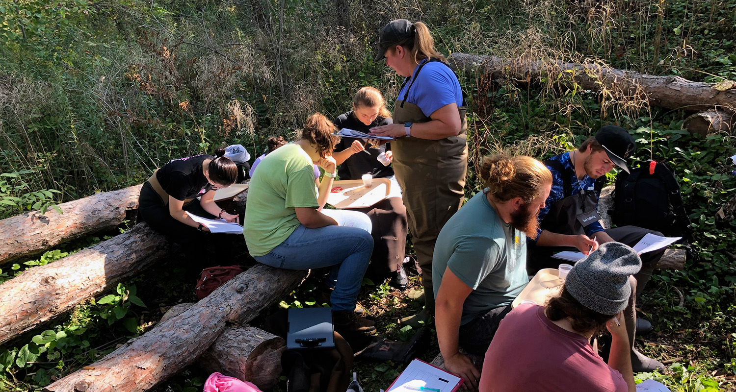 Multiple students sit on log benches studying collected data on paper and clipboards