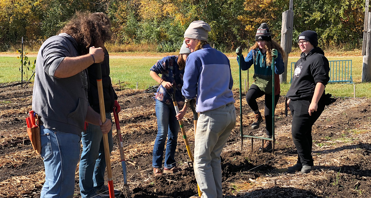 Multiple people hold and use various tools to till a small farm field