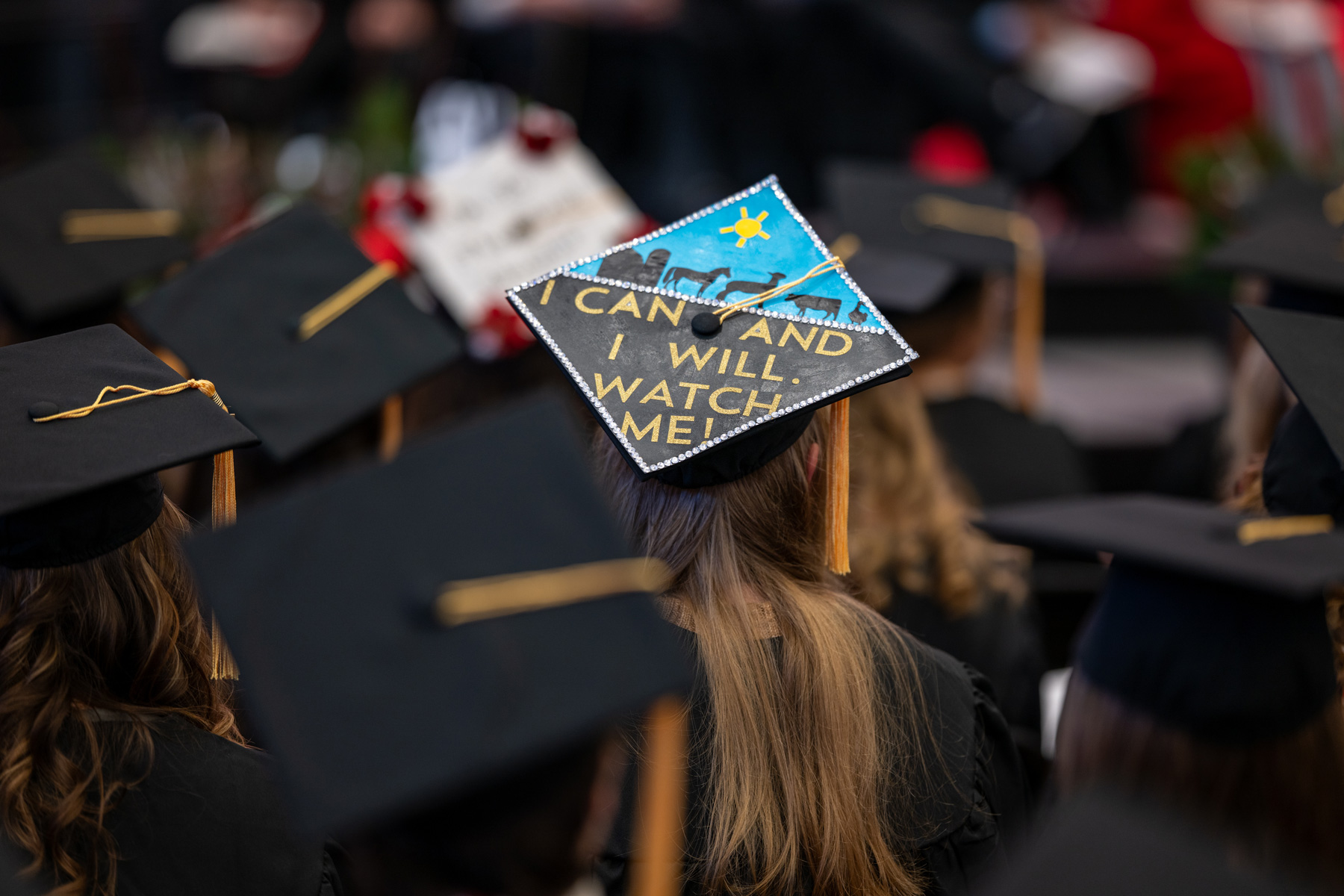 Graduating students at commencement, with one wearing a cap adorned with the words: "I can and I will. Watch me."