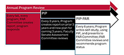a chart showing the PIP-PAR process