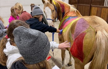 A group of equine students paint on a horse to identify the major muscle groups