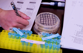 Petri dishes and small vials cover a lab table
