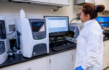 A professor stands at a computer waiting for data to be compiled