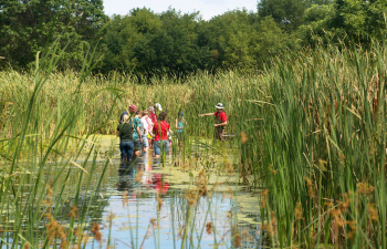 Group of Conservation Students stand knee deep in a local pond