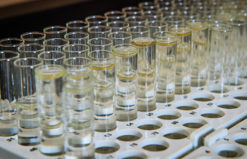 Rows of test tubes are ready in an Environmental Sciences lab