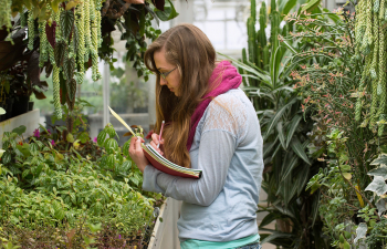 Horticulture student studying plants in the campus greenhouse