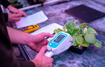 Sustainable Justice student uses photosynthesis device to analyze a plant in the campus greenhouse