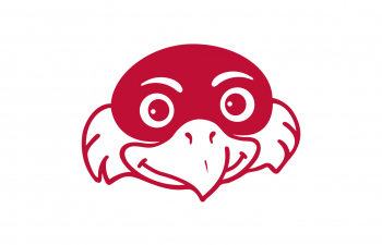 An icon of Freddy Falcon