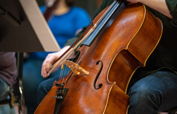 a close up photo of a cello