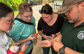 Students looking at seeds in Puerto Rico