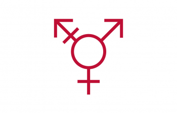 Icon of the female, male and intersex symbol