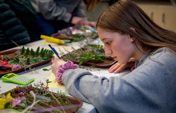A student studies wildflowers.
