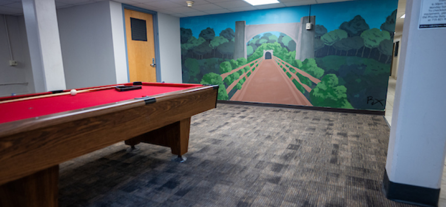 Prucha Pool Table