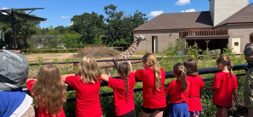 several children, all wearing red shirts, have their back to the camera as they stand at a fence and look at a giraffe at the zoo